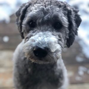 Meet your Posher, Naty